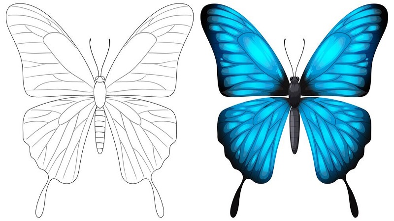 Master Drawing: g0stygfoby4 = Butterfly Techniques