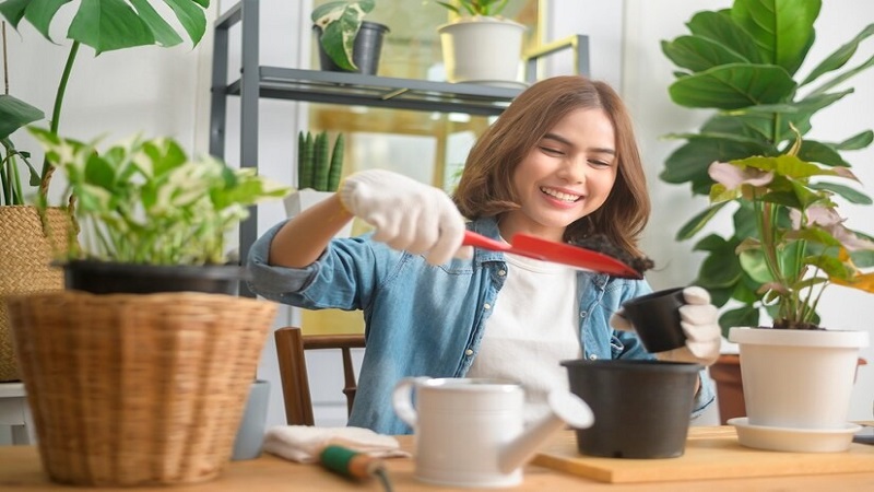 A Fresh Start at Home: Embracing Eco-Friendly Cleaning for Health and Happiness