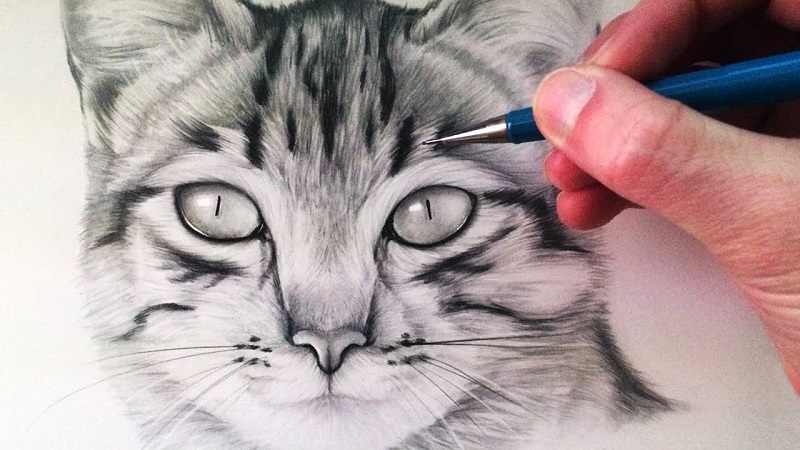 Drawing:a4z_-ymtkr8= Cat