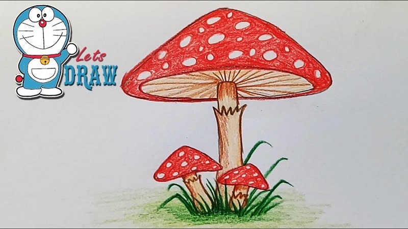 Drawing:plcxcsjeqpq= Mushroom