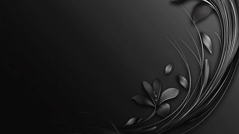 Wallpaper:dazevovfbdw= Black