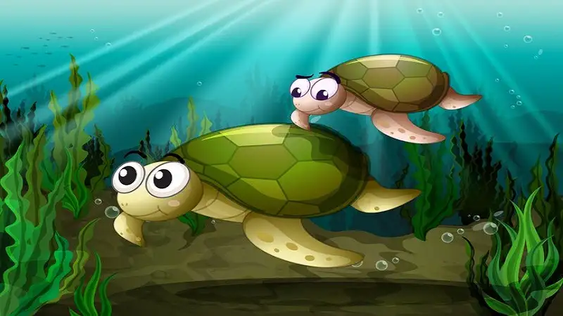 Cute:avcuk1fbj54= Turtle