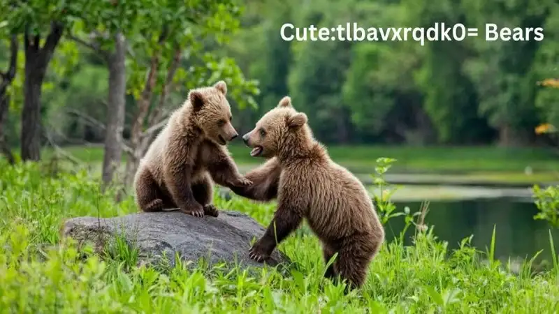 Cute:tlbavxrqdk0= Bear: The Irresistible Charm of Cute Bears Explained